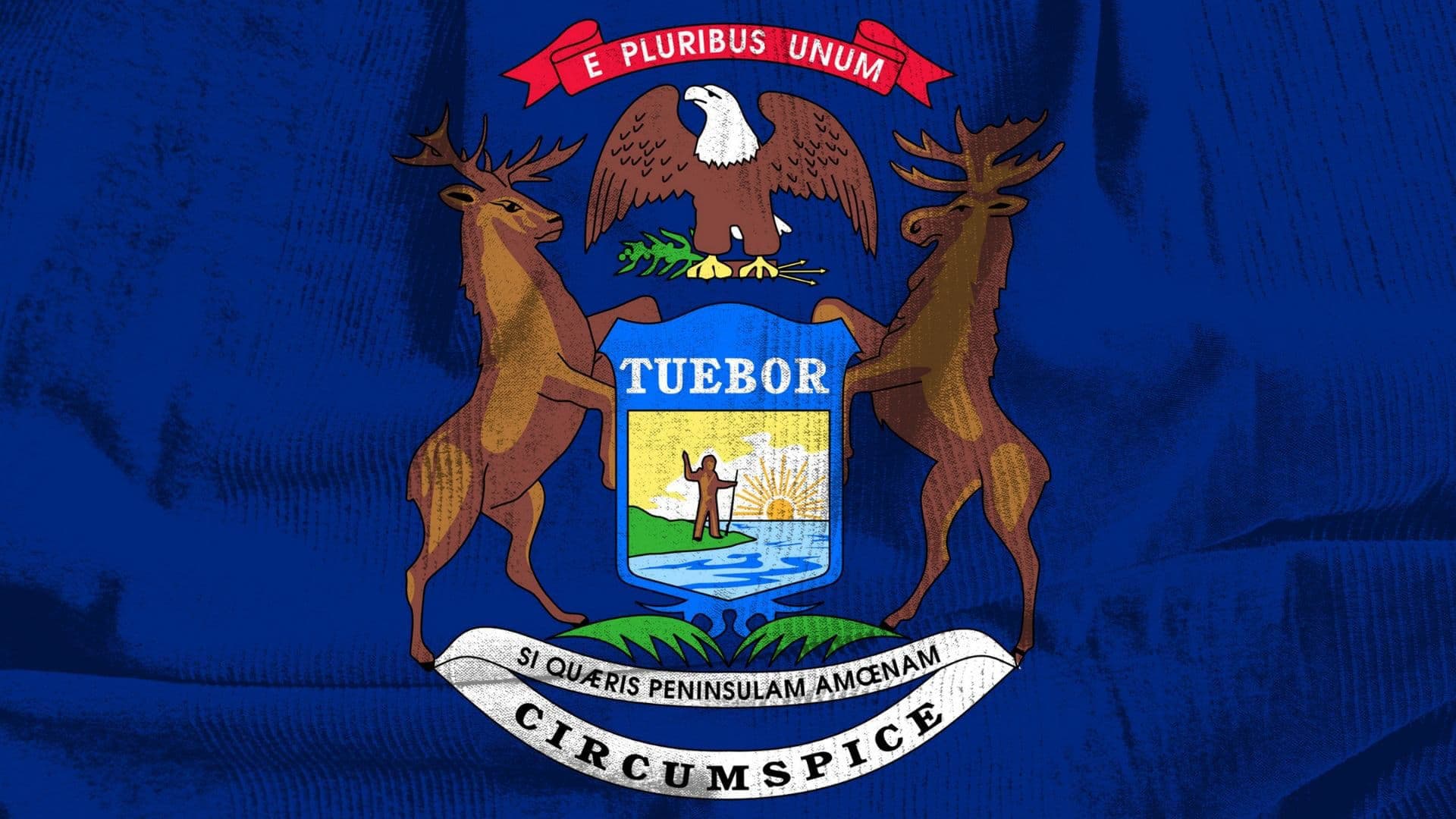 Michigan Substance Abuse & Drug Addiction Helplines
